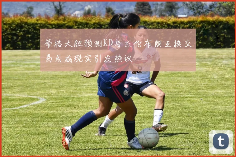 蒂格大胆预测KD与杰伦布朗互换交易或成现实引发热议